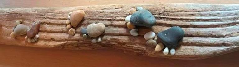 Stenfødder på bræt